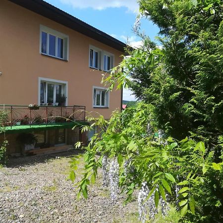 Noclegi Pod Lasem Solina 20 Buitenkant foto