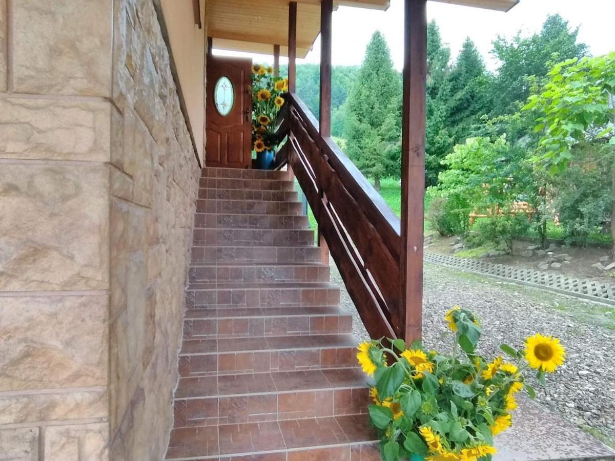 Noclegi Pod Lasem Solina 20 Buitenkant foto
