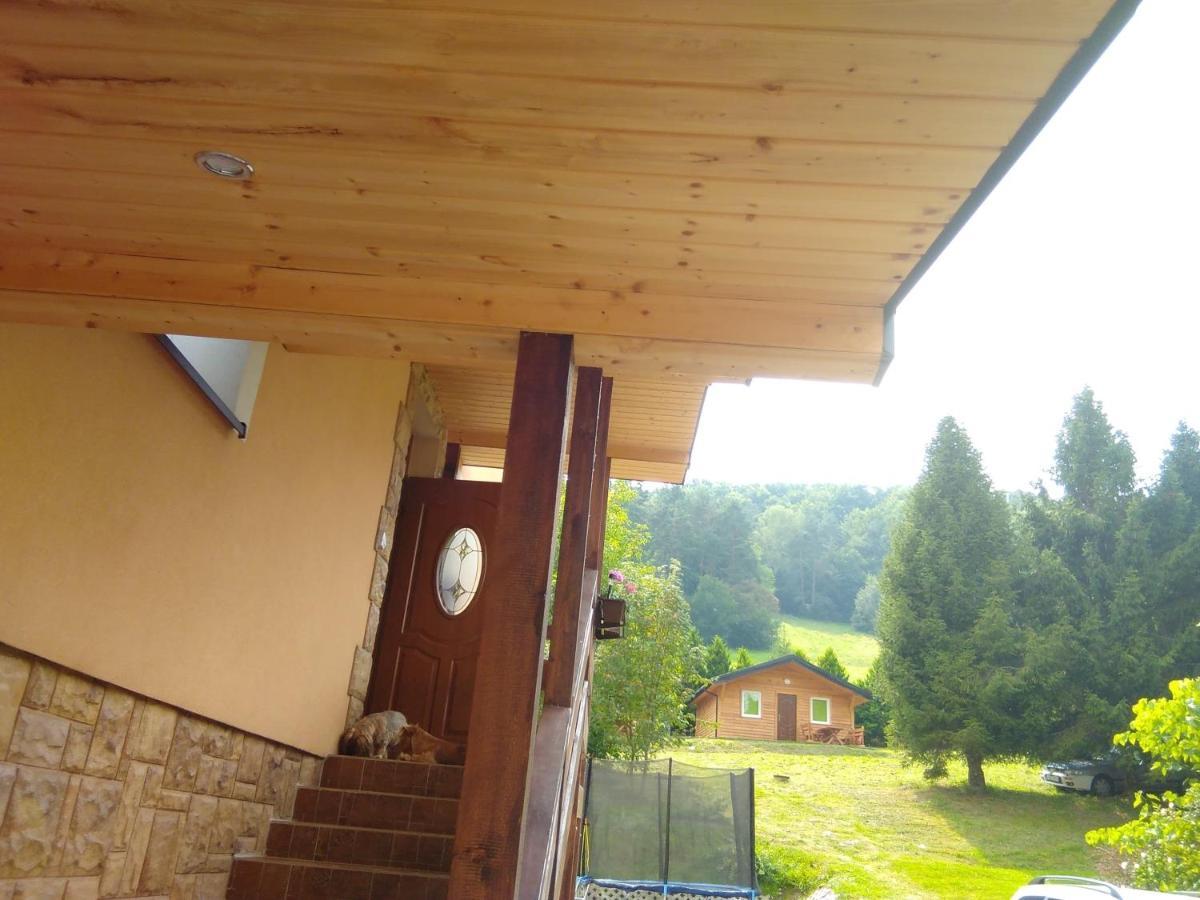 Noclegi Pod Lasem Solina 20 Buitenkant foto
